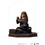 Harry Potter a l'ecole des sorciers - Hermione Granger Polyjuice BDS